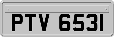 PTV6531