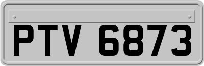 PTV6873