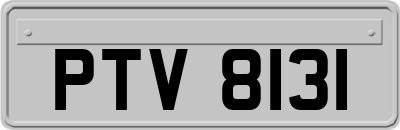 PTV8131