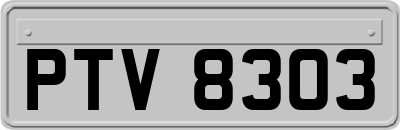 PTV8303