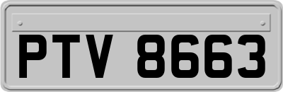 PTV8663