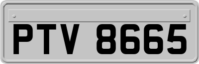 PTV8665