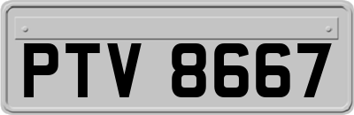 PTV8667