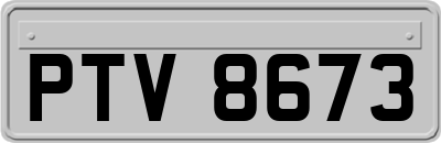 PTV8673