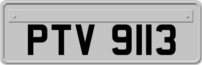 PTV9113