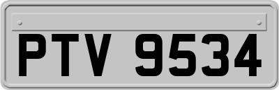 PTV9534