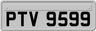 PTV9599