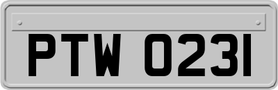 PTW0231