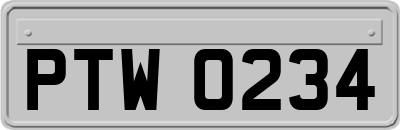 PTW0234