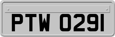 PTW0291