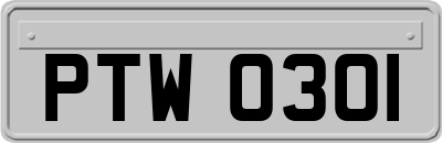 PTW0301