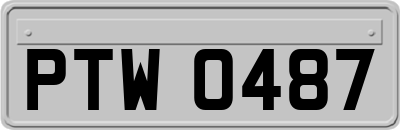 PTW0487