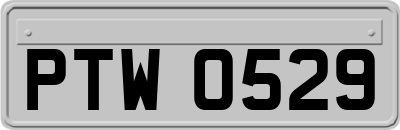 PTW0529