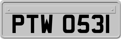 PTW0531