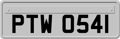 PTW0541