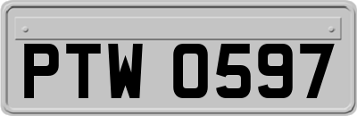 PTW0597