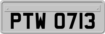 PTW0713