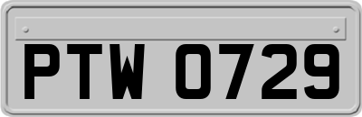 PTW0729