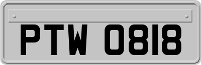 PTW0818