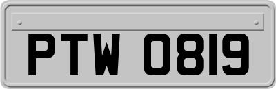 PTW0819