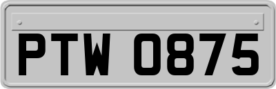 PTW0875