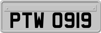 PTW0919