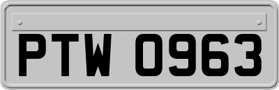 PTW0963