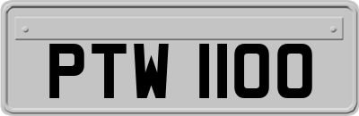 PTW1100