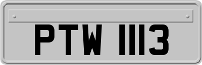 PTW1113