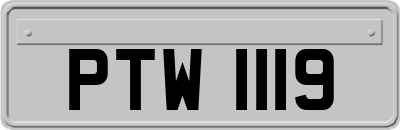 PTW1119