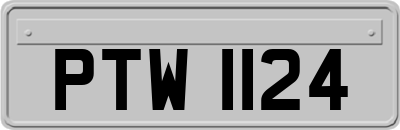 PTW1124