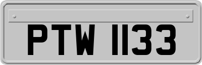 PTW1133