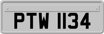 PTW1134