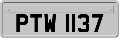 PTW1137