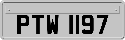 PTW1197