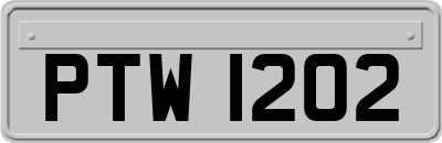 PTW1202