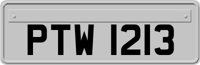 PTW1213