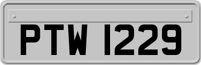 PTW1229