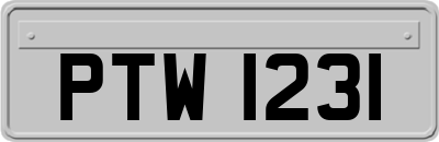 PTW1231