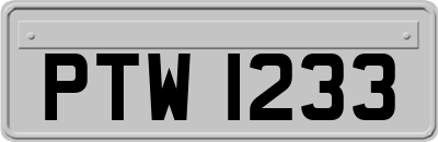 PTW1233