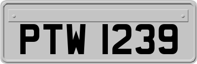 PTW1239