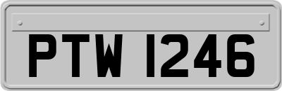 PTW1246