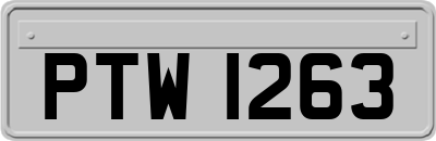 PTW1263