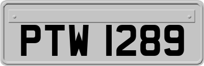 PTW1289