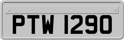 PTW1290