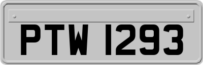 PTW1293