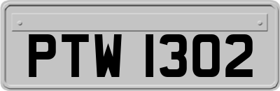 PTW1302