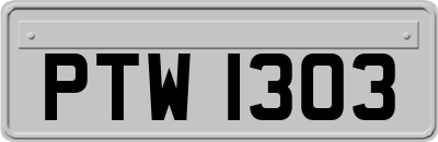 PTW1303