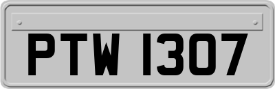 PTW1307