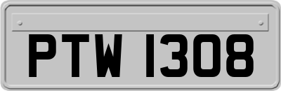 PTW1308